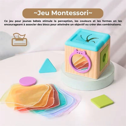 Montibox